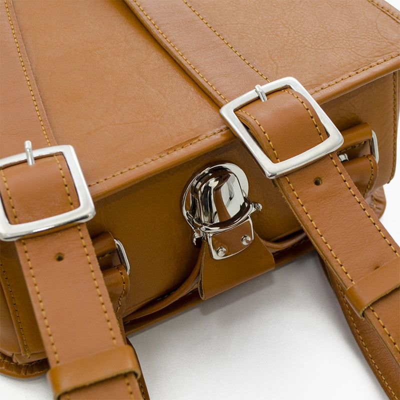 Close-up of a brown leather bag with silver buckles on a white background